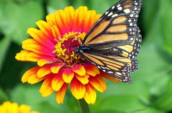 免费ddos平台攻击