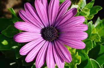 纯净版无广告的ddos攻击ip软件下载