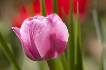 数据保护严格的ddos测压网站